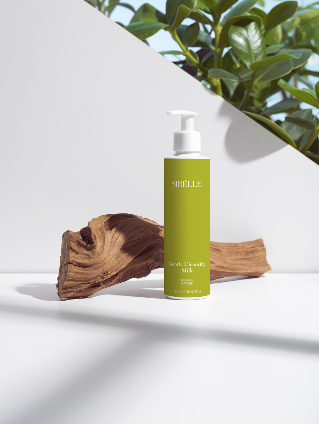 Gentle Cleansing Milk